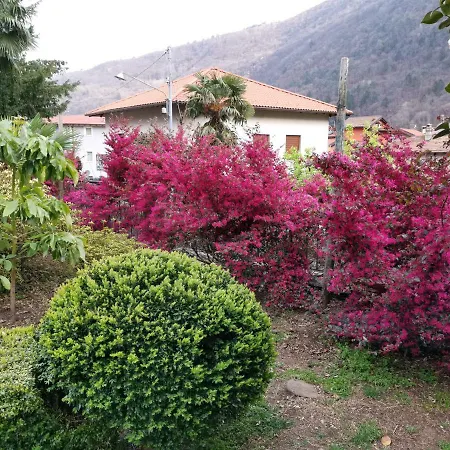 B&B Villa Dei Pini-3